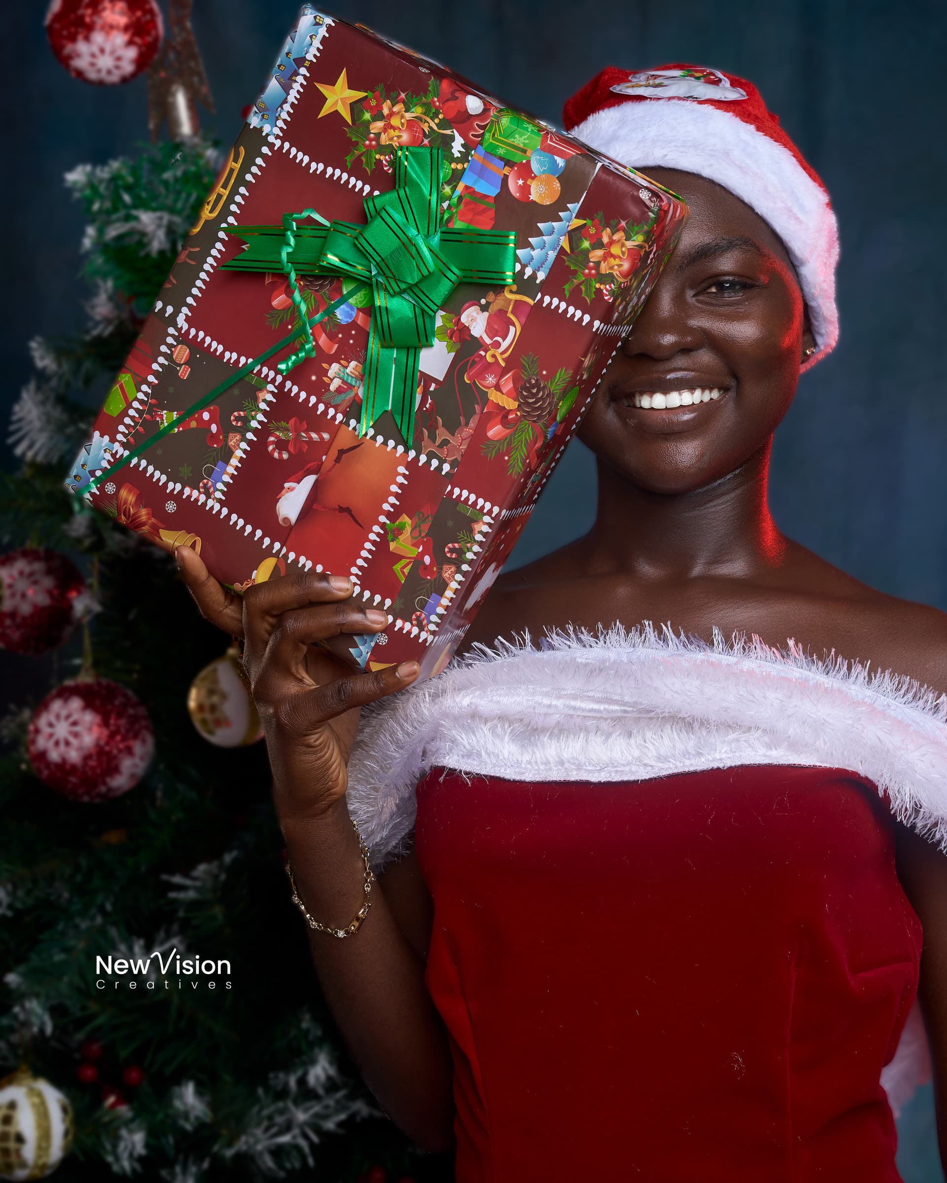 Christmas & New Year's Celebrations